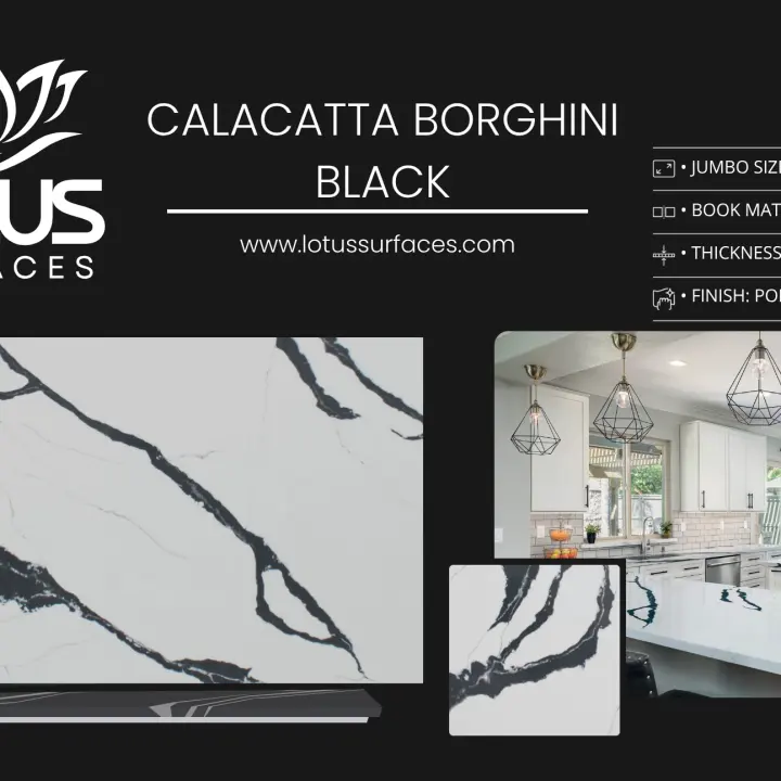Calacatta Borghini Black countertop slab sample at the Lotus Surfaces showroom in Norcross, GA