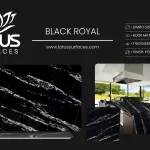 Black Royal countertop slab sample at the Lotus Surfaces showroom in Norcross, GA