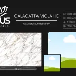 Calacatta Viola HD countertop slab sample at the Lotus Surfaces showroom in Norcross, GA