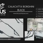 Calacatta Borghini Black countertop slab sample at the Lotus Surfaces showroom in Norcross, GA