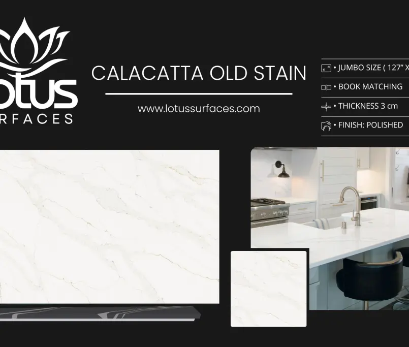 Calacatta Old Stain countertop slab sample at the Lotus Surfaces showroom in Norcross, GA